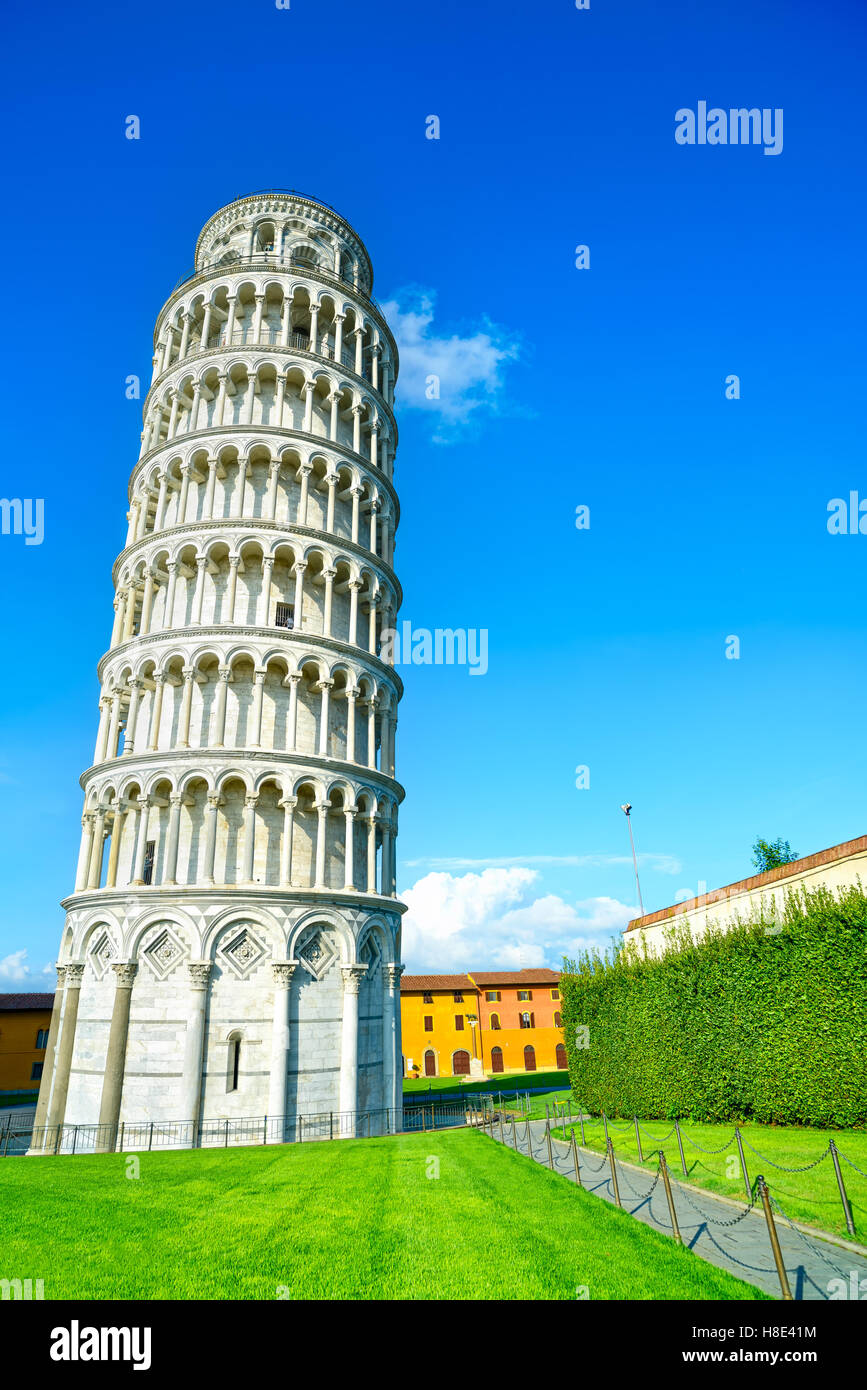 Torre di Pisa o Torre pendente di Pisa, Piazza dei Miracoli o Piazza dei Miracoli. Toscana, Italia, Europa. Foto Stock