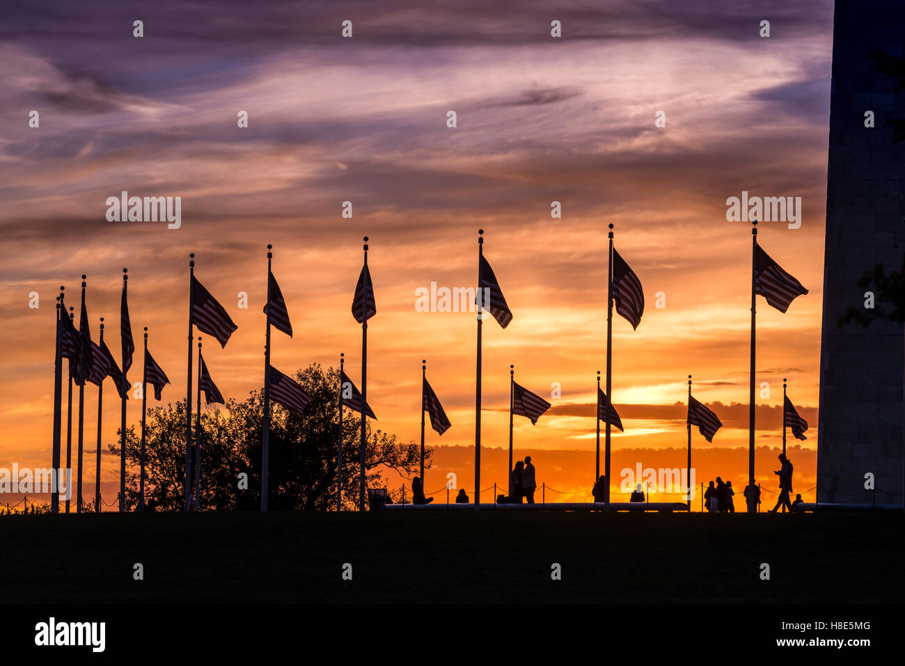Sagoma delle bandiere americane al monumento a Washington con tramonto, Washington DC USA Foto Stock