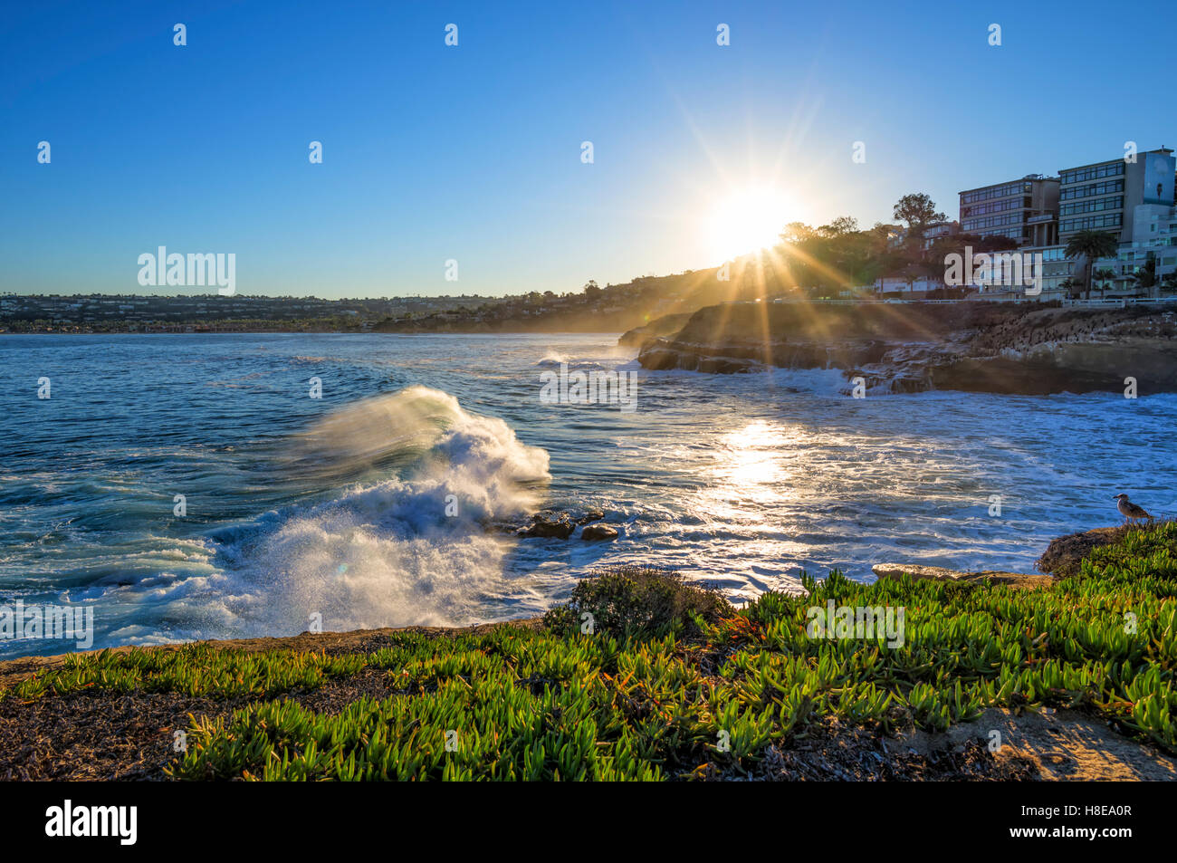 Sunrise, seascape e vista costiera. La Jolla, California, Stati Uniti d'America. Foto Stock
