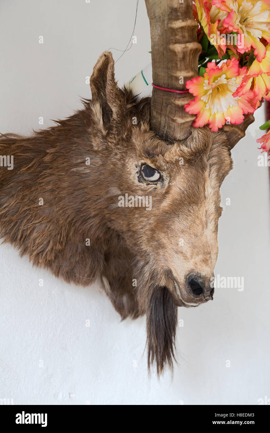 Pamir Pamirs Tagikistan sul tetto del mondo Foto Stock
