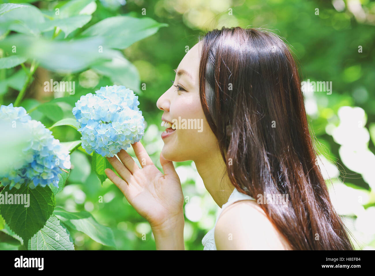 Giovane donna giapponese con i fiori delle ortensie in un parco della città Foto Stock