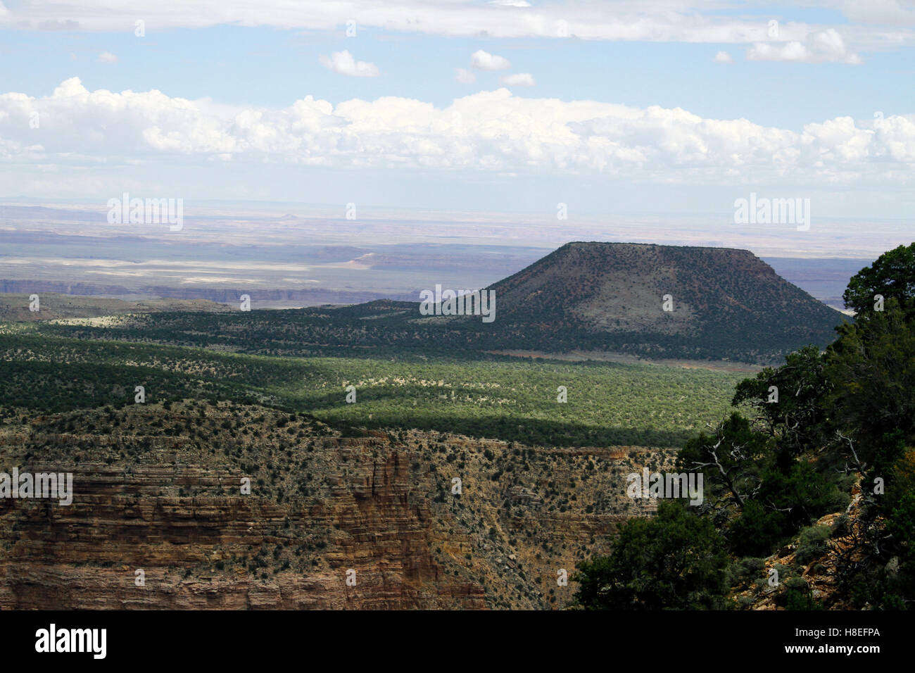 Grand Canyon View, Arizona Foto Stock