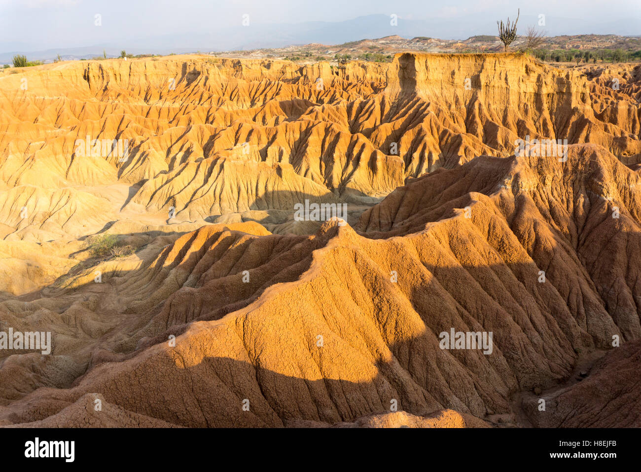 Desierto de Tatocoa (Tatacoa deserto), Colombia, Sud America Foto Stock