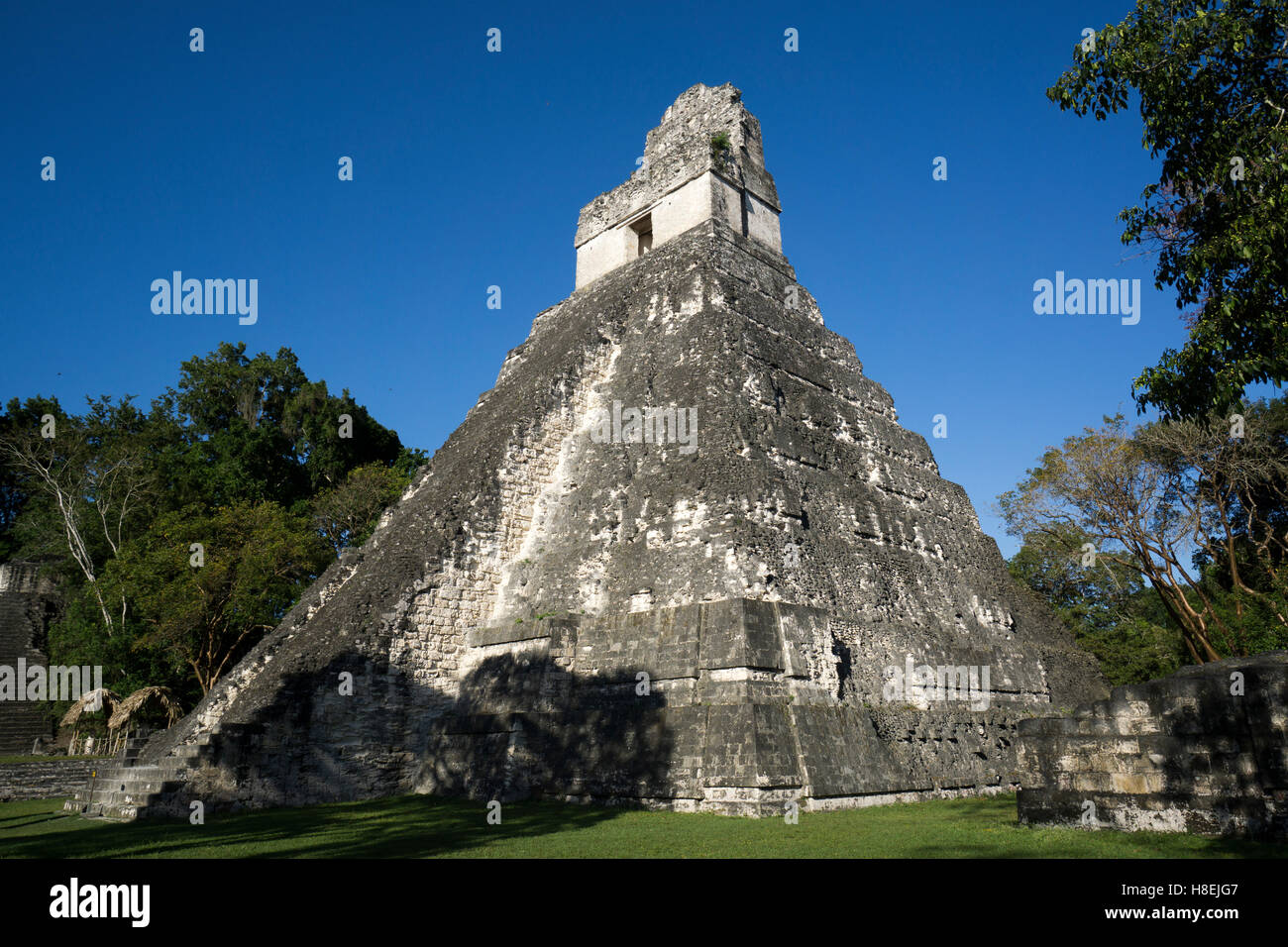 Tempio di Tikal 1, precolombiana civiltà Maya, Tikal, Sito Patrimonio Mondiale dell'UNESCO, Guatemala, America Centrale Foto Stock