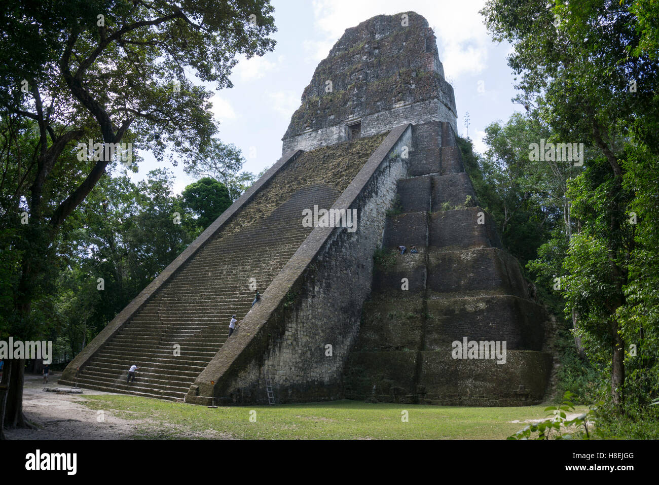 Tempio di Tikal 5, pre-Colombiano civiltà Maya, Tikal, Sito Patrimonio Mondiale dell'UNESCO, Guatemala, America Centrale Foto Stock