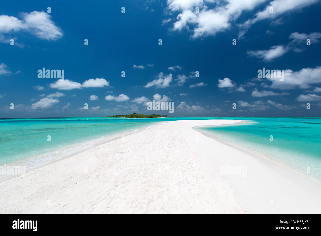 Sandbank e isola tropicale, Maldive, Oceano Indiano, Asia Foto Stock