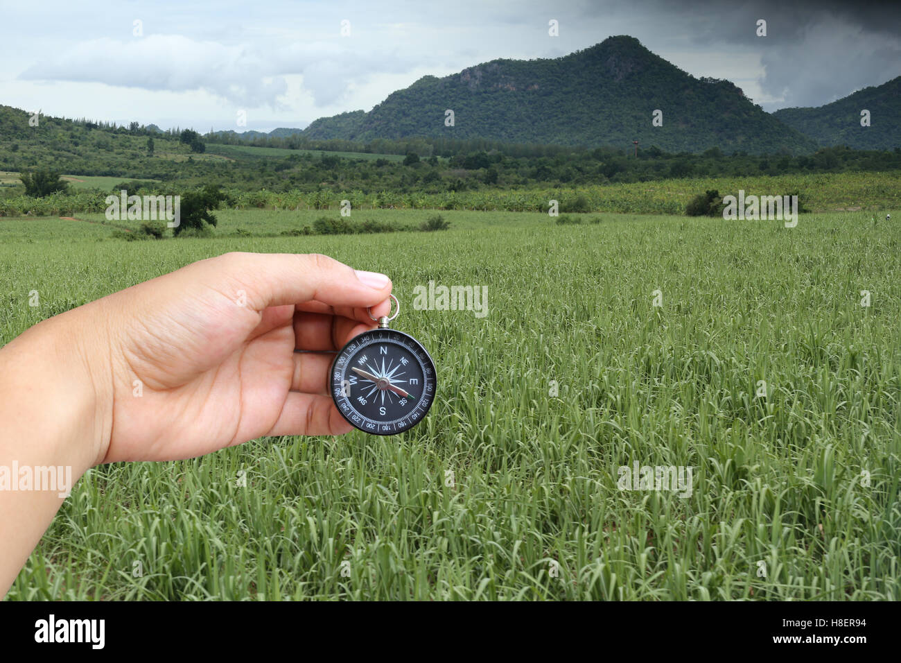 La mano di un uomo in possesso di una bussola in verdi prati in campagna,concetto di viaggio o di viaggio. Foto Stock