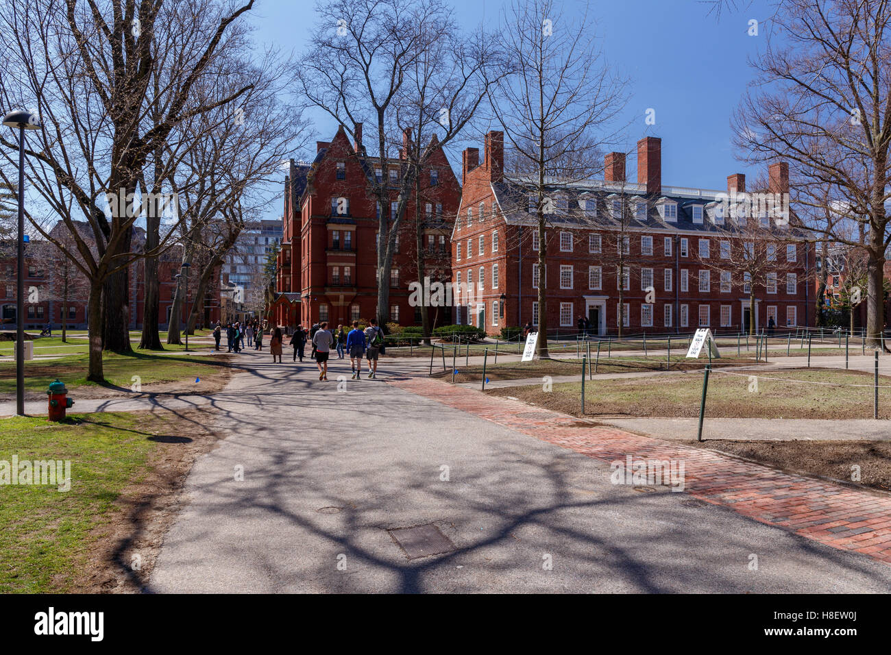 La vita in Harvard Yard, cuore storico del campus dell'Università di Harvard, in primavera a Cambridge, MA, Stati Uniti d'America. Foto Stock