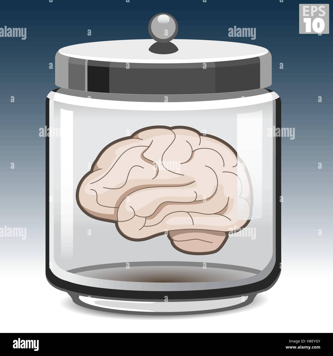 Cervello umano in un vasetto di vetro Illustrazione Vettoriale