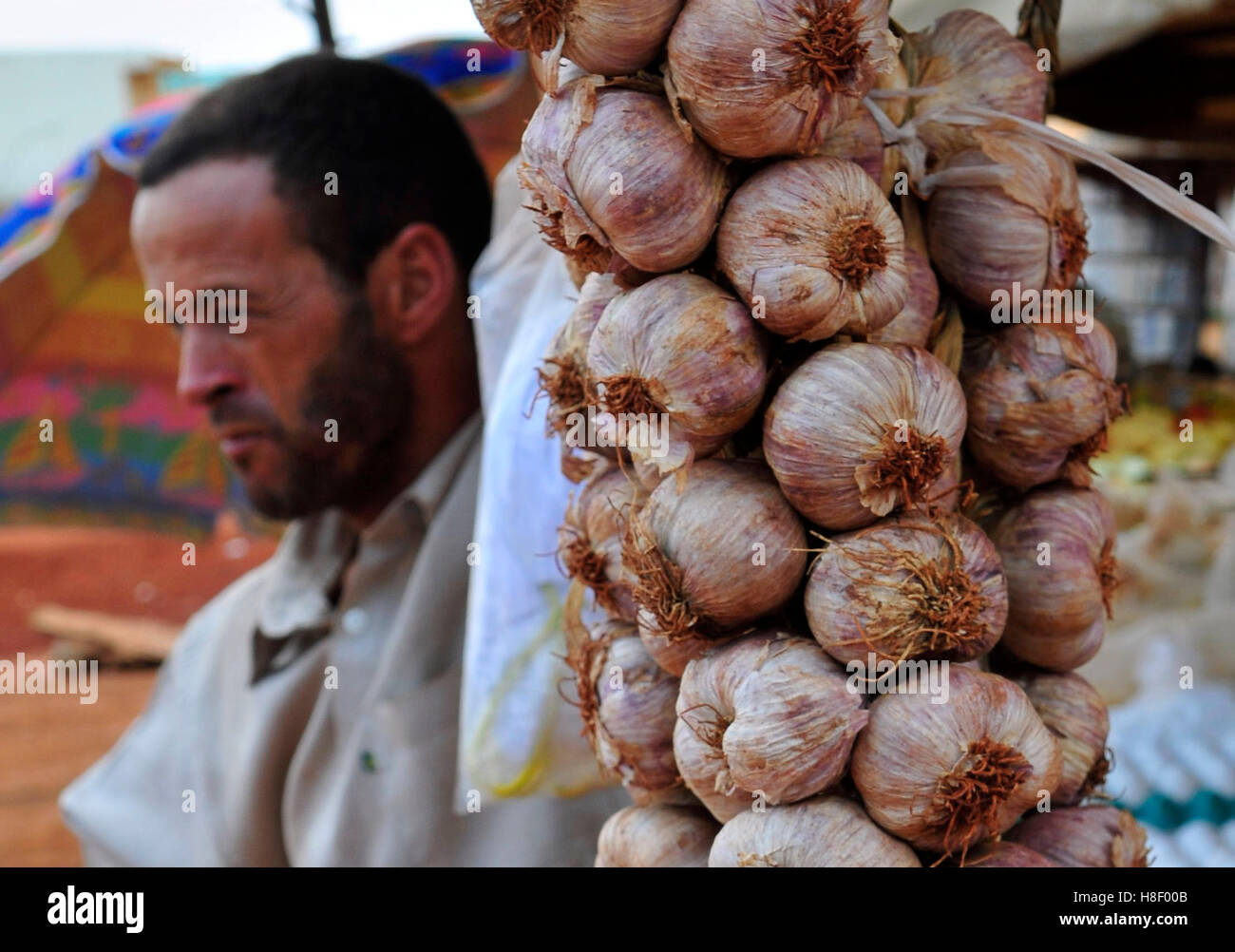 Un brasiliano aglio produttore presso un mercato in una piccola città nello Stato di Goias, Brasile. Foto Stock