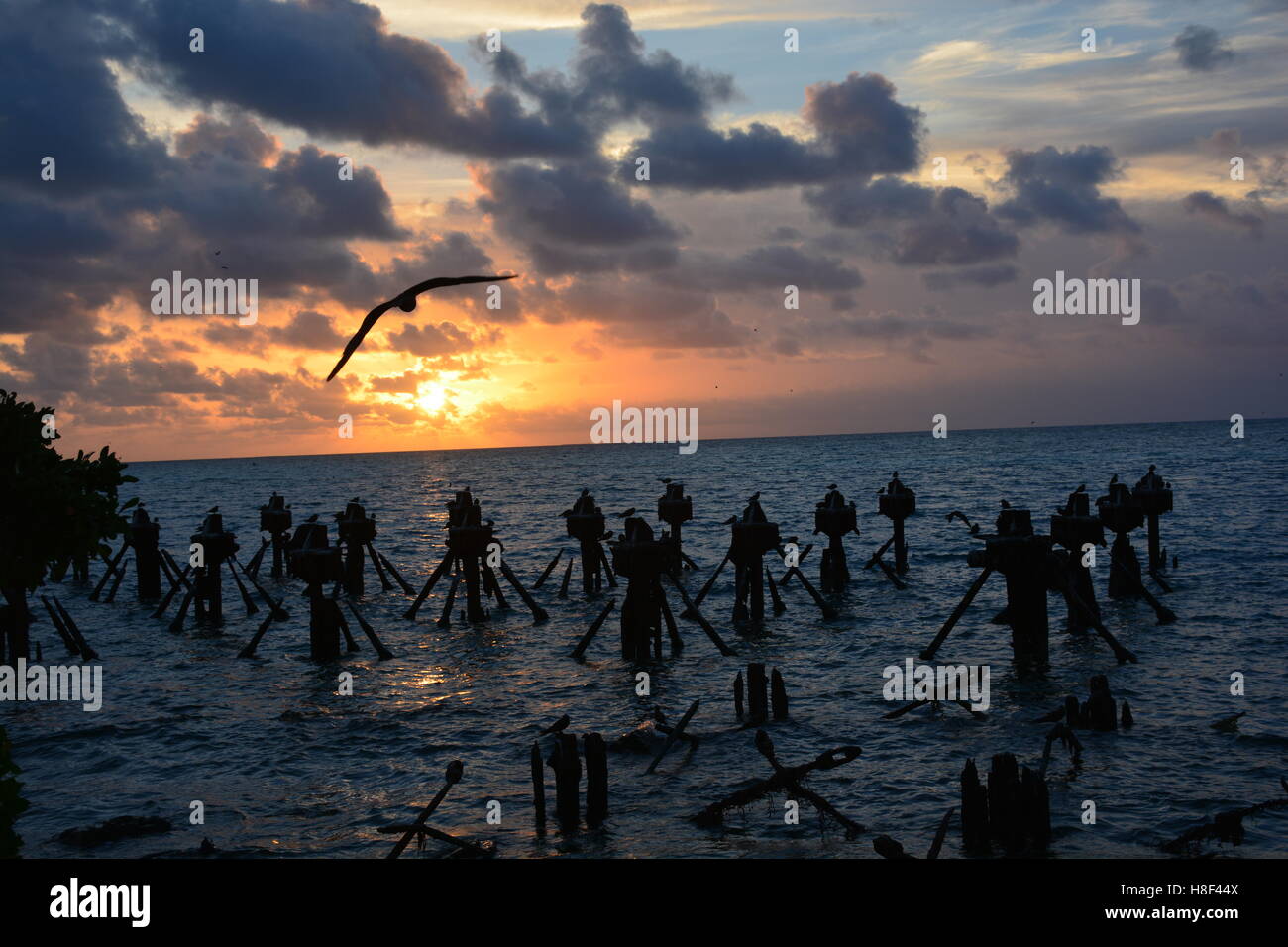 Sunrise a Dry Tortugas florida parco nazionale Foto Stock