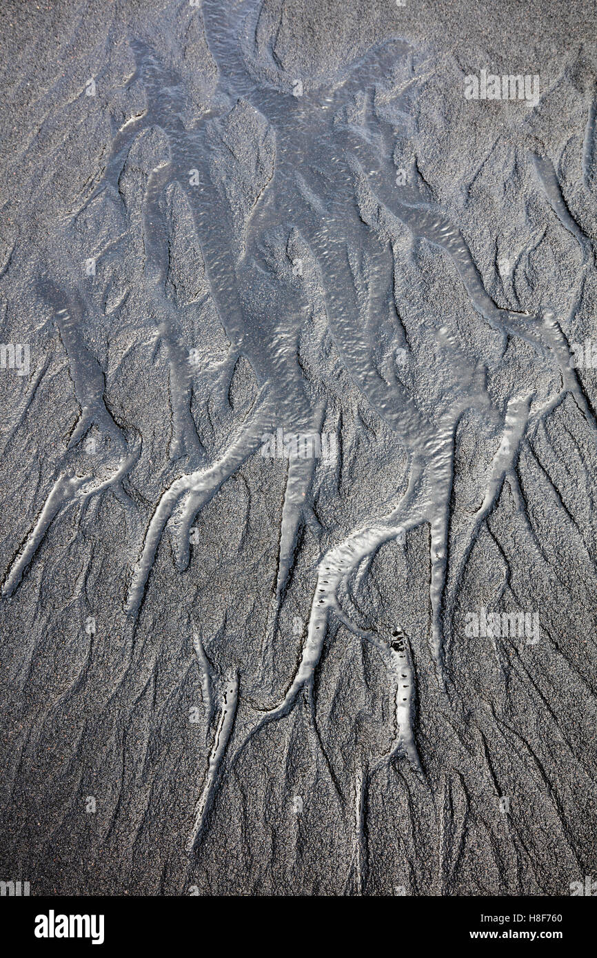 Strutture in Punalu'u spiaggia di sabbia nera, Big Island delle Hawaii, STATI UNITI D'AMERICA Foto Stock