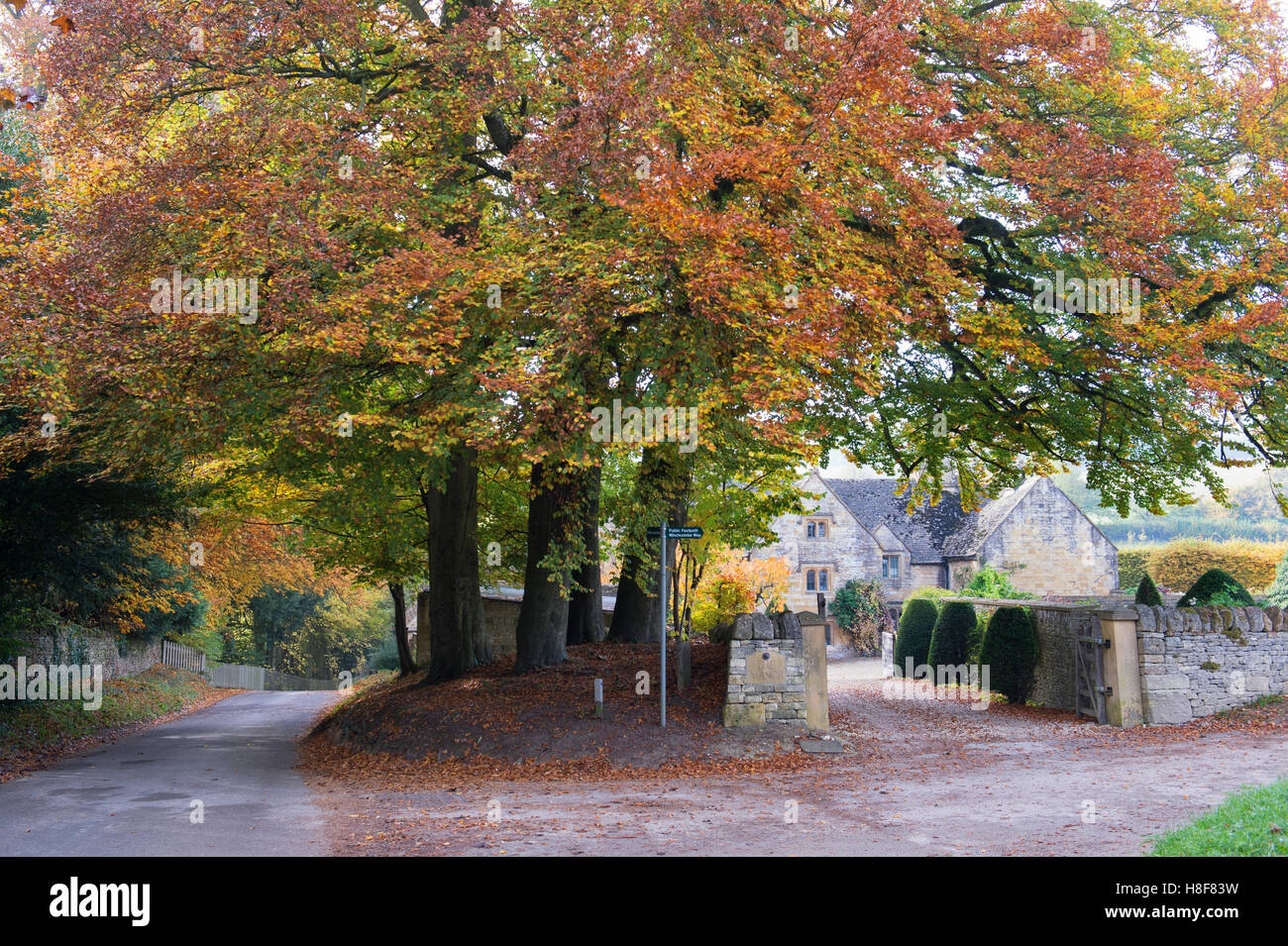 Autunno faggi dall ingresso ad un Manor nel tempio, Guiting Cotswolds, Gloucestershire, Inghilterra Foto Stock