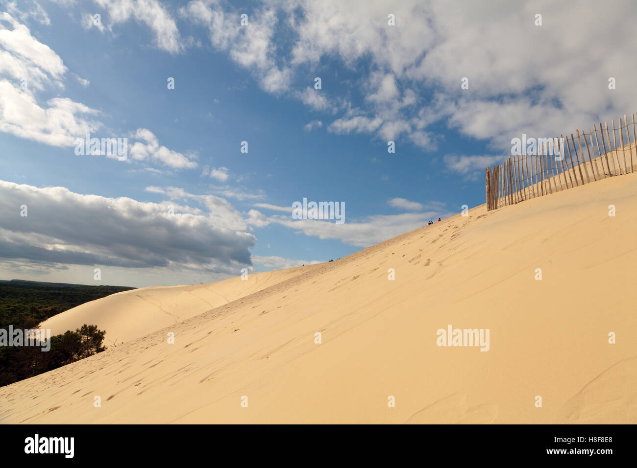 Vista la duna del Pilat, La Teste de Buch, Arcachon Bay Area, Francia. Foto Stock