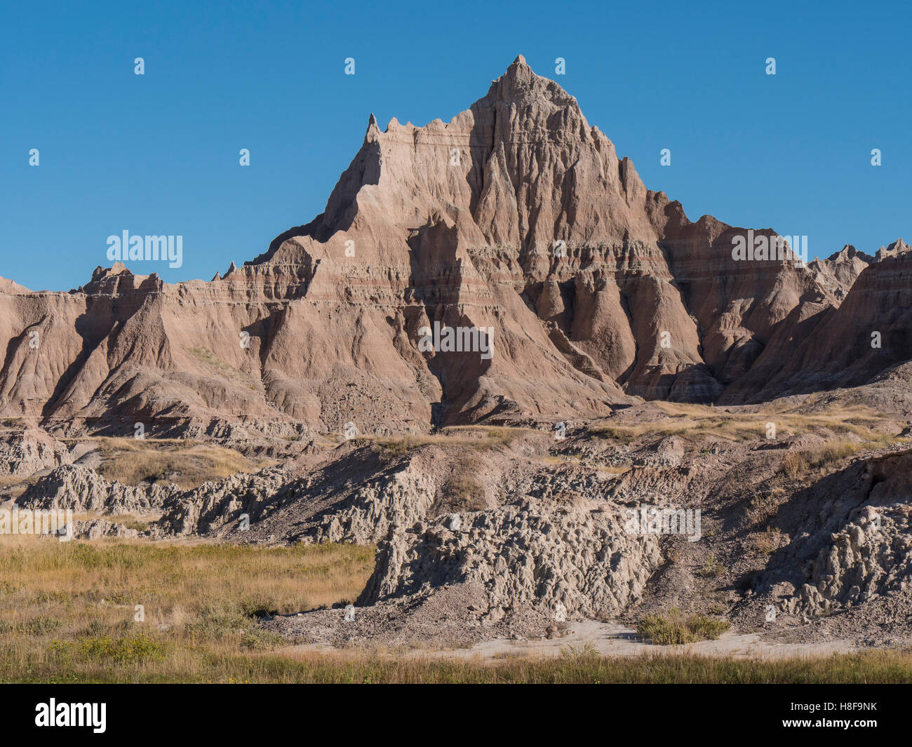 I pinnacoli vicino a Cedar Pass Lodge, Badlands Loop Road, Parco nazionale Badlands, South Dakota. Foto Stock