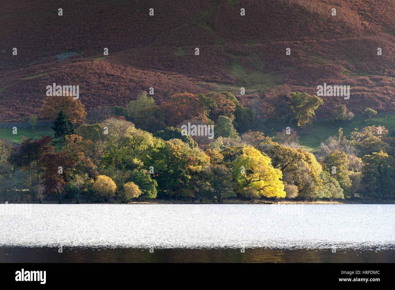 Serata autunnale di sole in Ullswater, Lake District inglese, Cumbria Foto Stock