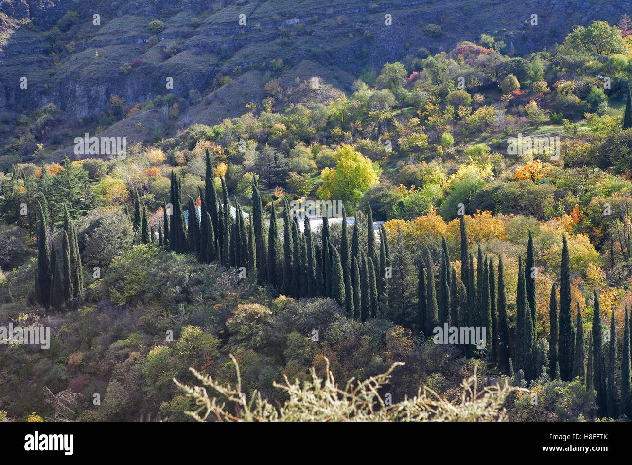 Giardino botanico al tramonto nella città di Tbilisi, Georgia, Europa Foto Stock