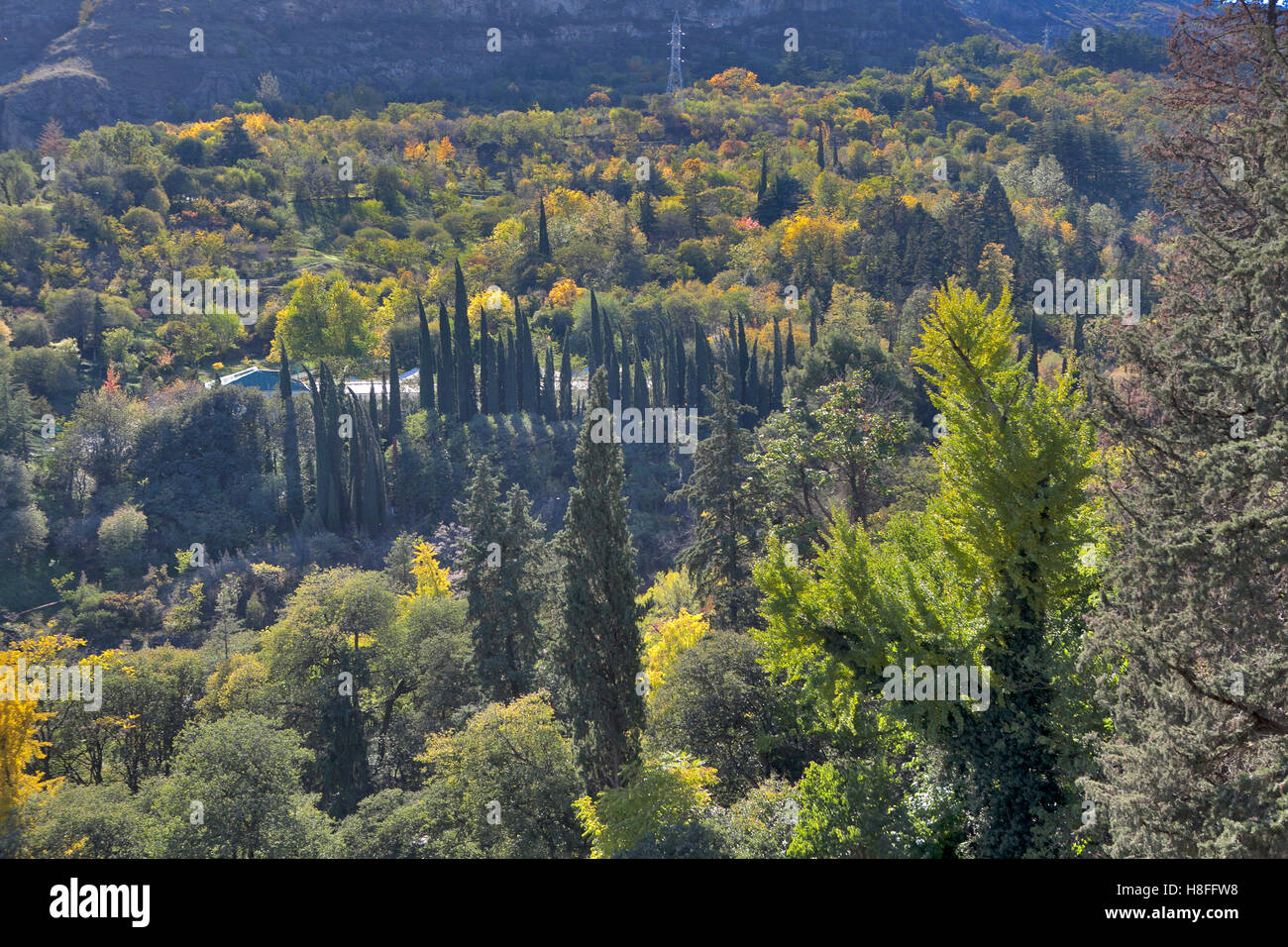 Giardino botanico al tramonto nella città di Tbilisi, Georgia, Europa Foto Stock