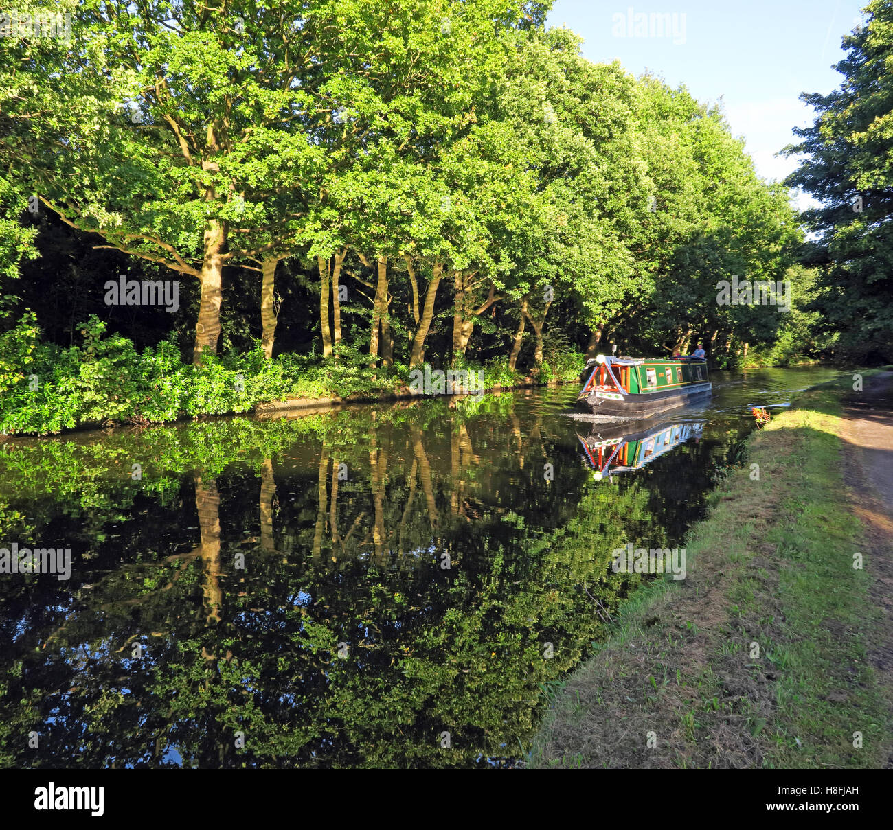 Bridgewater Canal Runcorn d'estate,waterside con intrusione, Cheshire, Inghilterra, Regno Unito Foto Stock