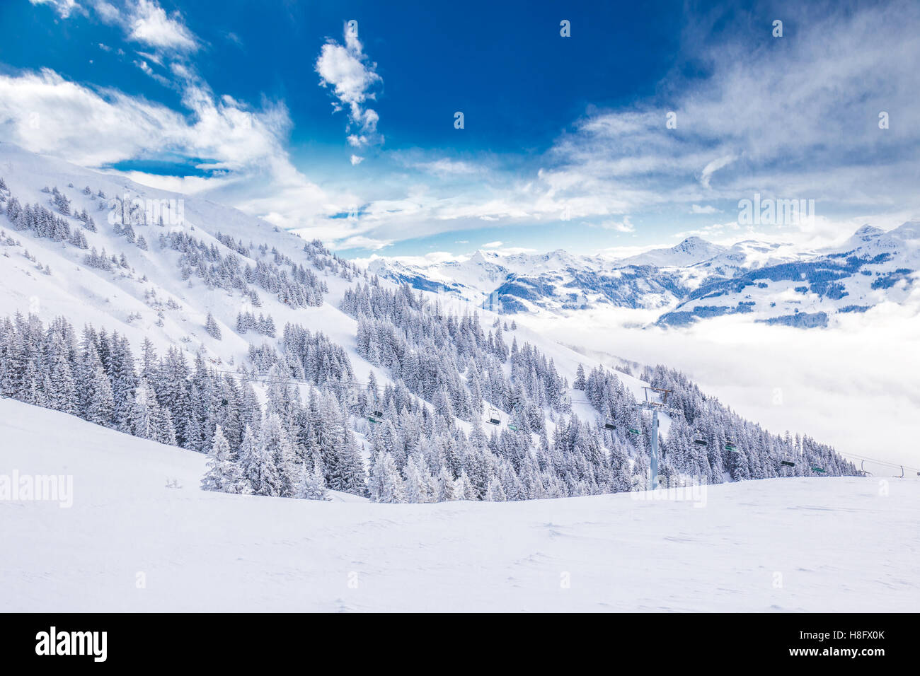 Alberi coperti di neve fresca in Tirolo Alpi di Kitzbühel ski resort - uno dei migliori resort di sci nel mondo. Foto Stock