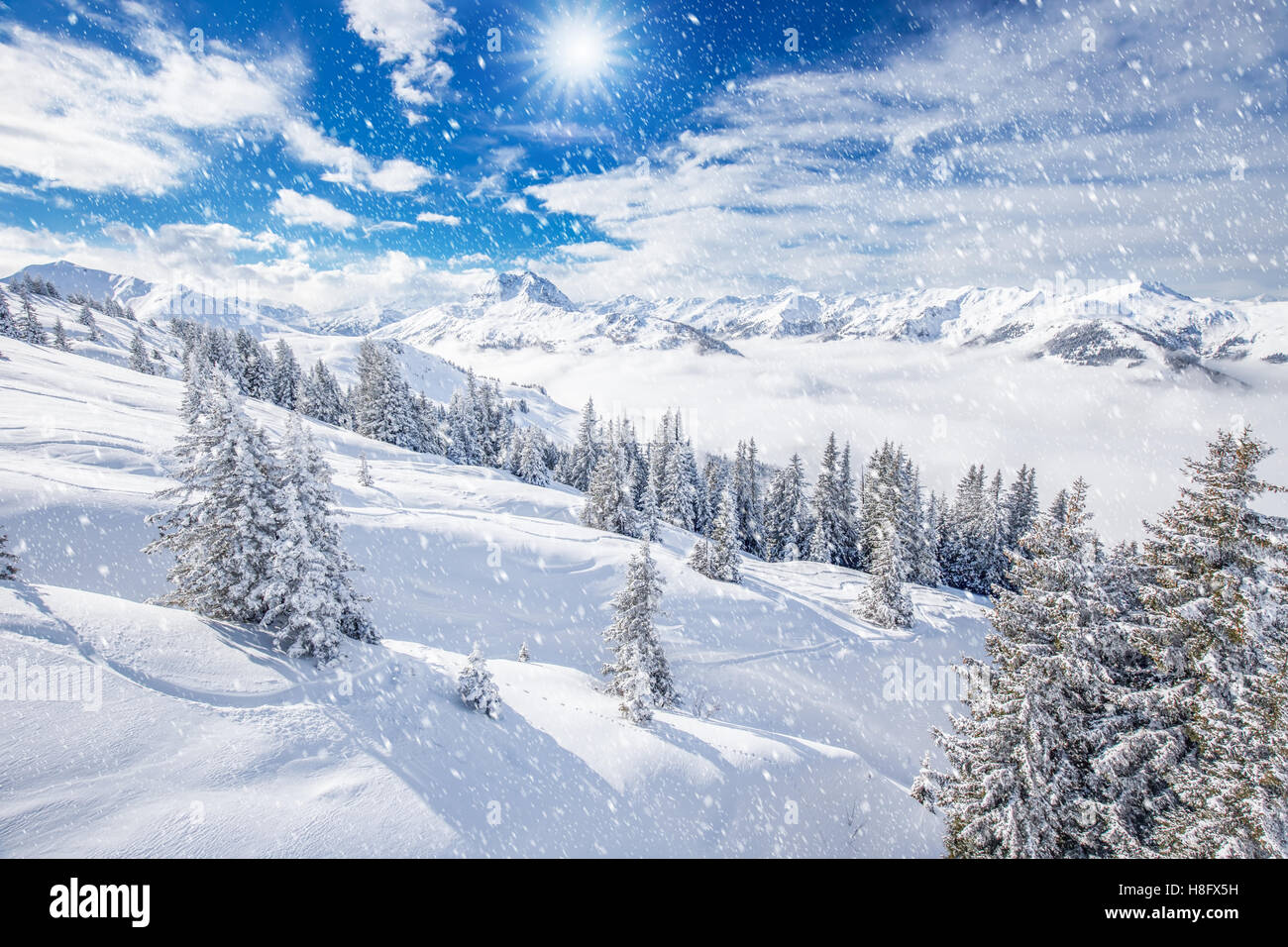 Alberi coperti di neve fresca in Alpi tirolese. Incredibile paesaggio invernale vicino a Kitzbuhel, Austria. Foto Stock