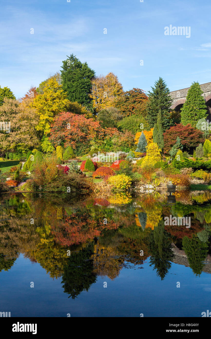 Spettacolare Colore di autunno riflessioni lungo il lago a Kilver giardini di corte, Shepton Mallet, Somerset, Inghilterra, Regno Unito Foto Stock