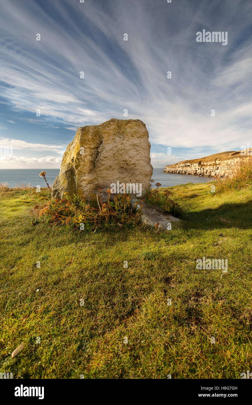 La costa del Dorset Foto Stock
