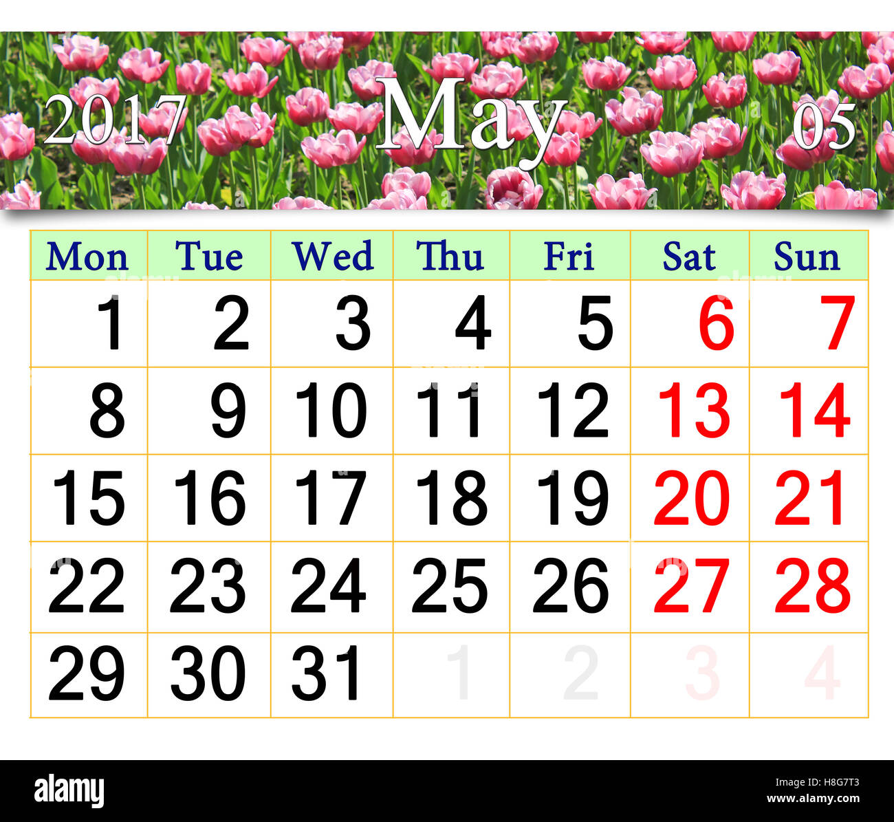 Calendario per il mese di maggio 2017 con letto di fiori lilla tulipani Foto Stock