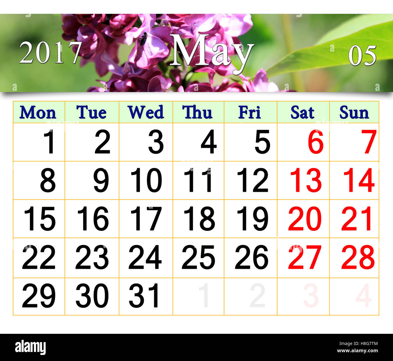 Calendario per il mese di maggio 2017 con fiori di lilla. Il calendario per la stampa e utilizzo nella vita in ufficio. Foto Stock