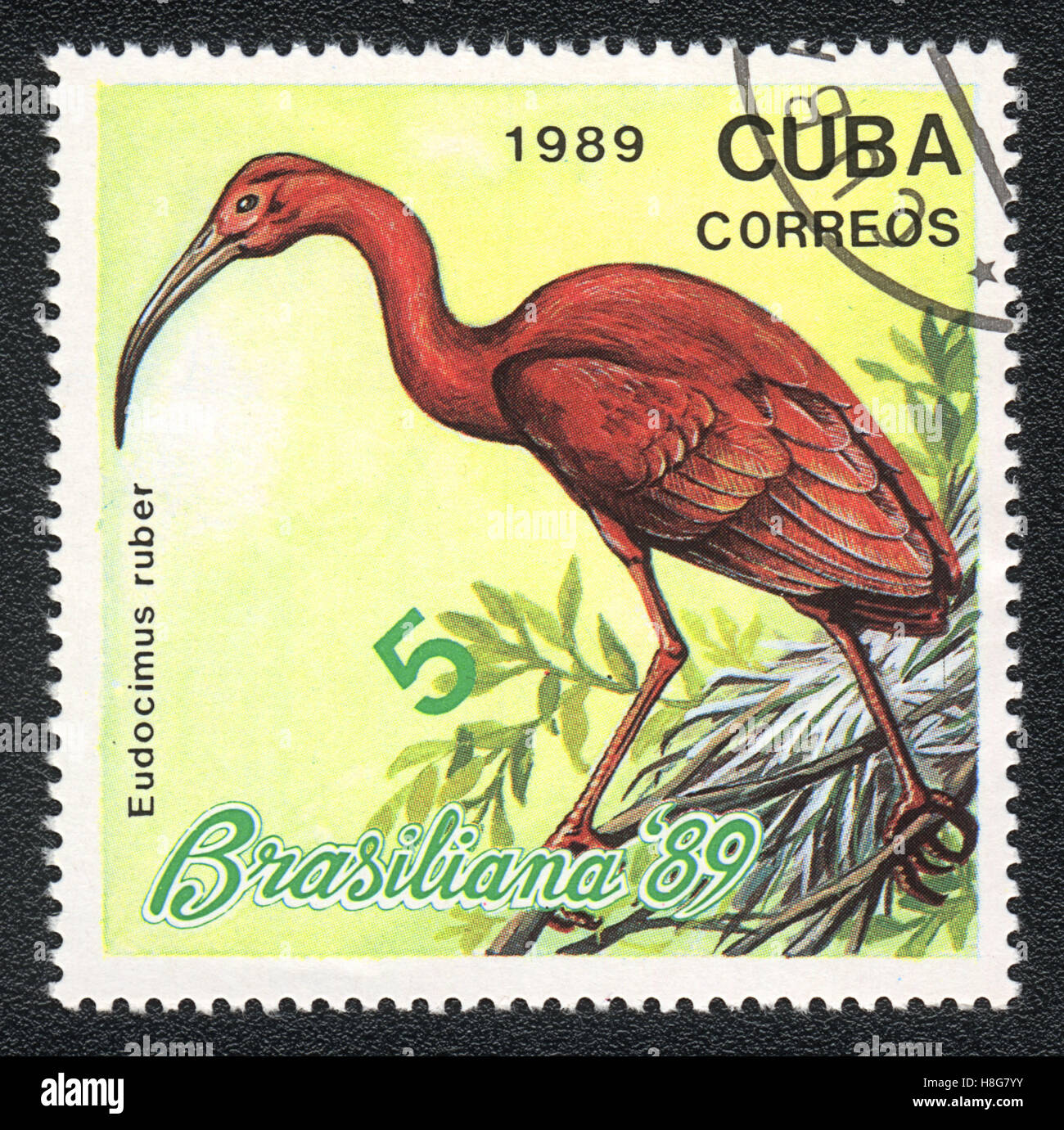 Un francobollo stampato in Cuba mostra un uccello Scarlet Ibis (eudocimus ruber), 1989 Foto Stock
