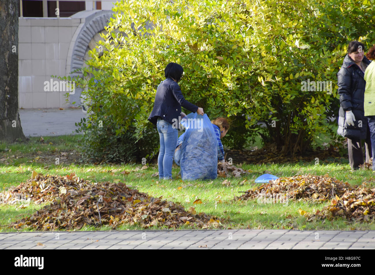 Slavyansk-na-Kubani, Russia - 9 Settembre 2016: i lavoratori del comune raccogliere foglie nel parco. Le donne di assistente sociale Foto Stock