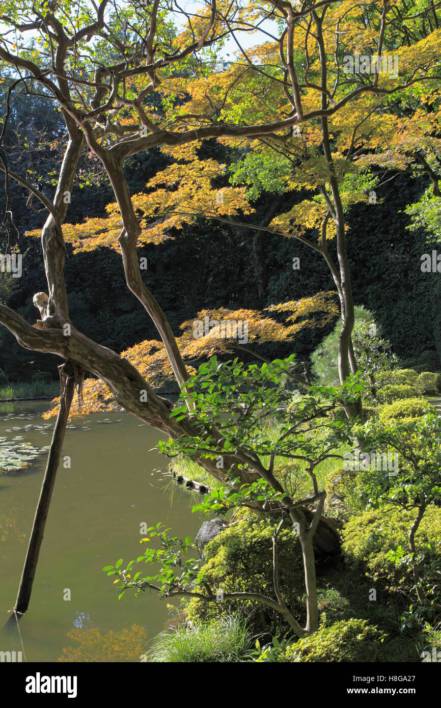 Giappone, Kyoto, Santuario Heian, giardino, Foto Stock