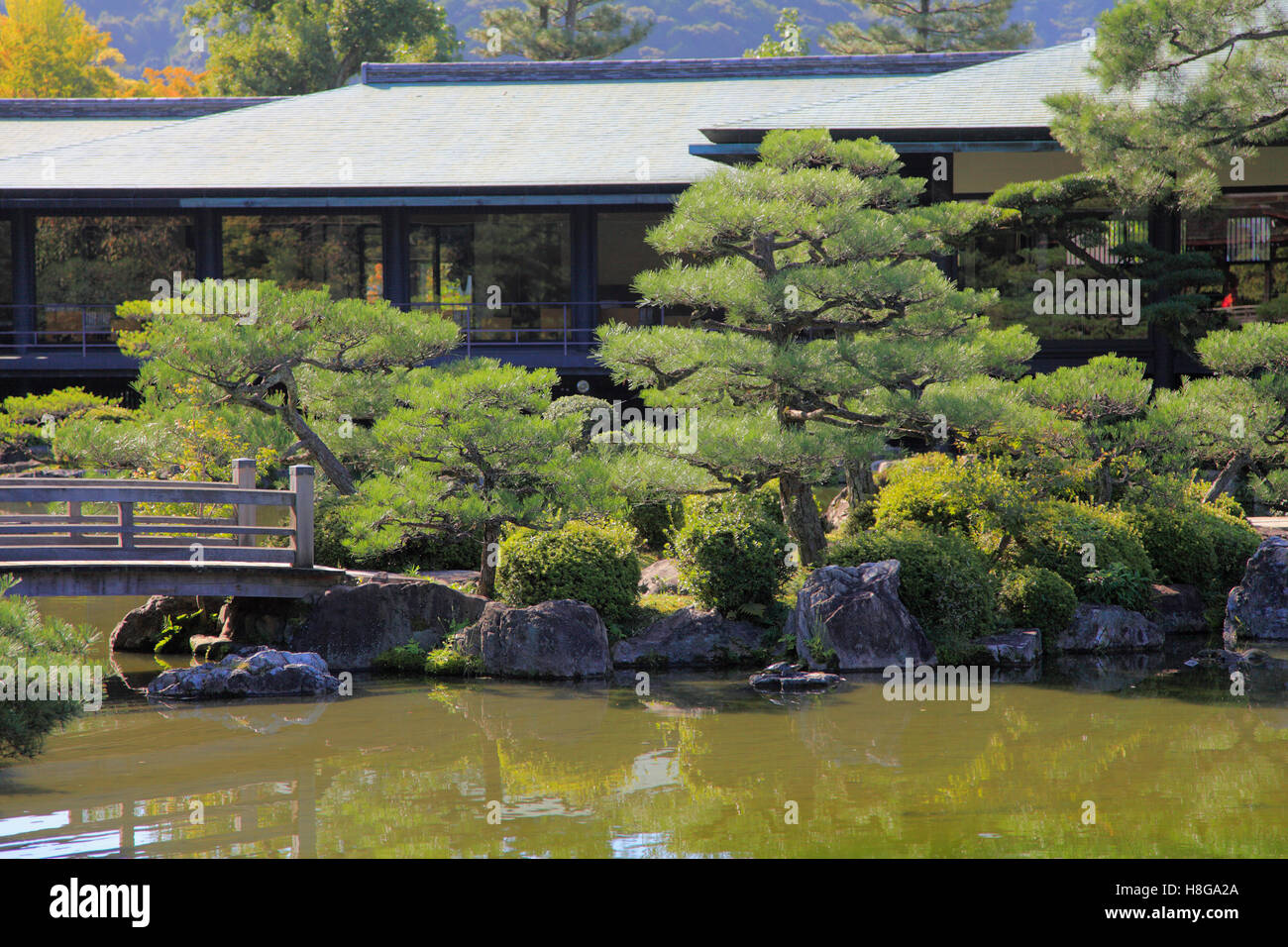Giappone, Kyoto, Santuario Heian, giardino, Foto Stock