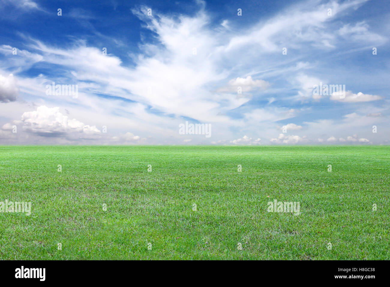 Campo verde e blu cielo vista,prato verde per la natura progettuale dello sfondo. Foto Stock