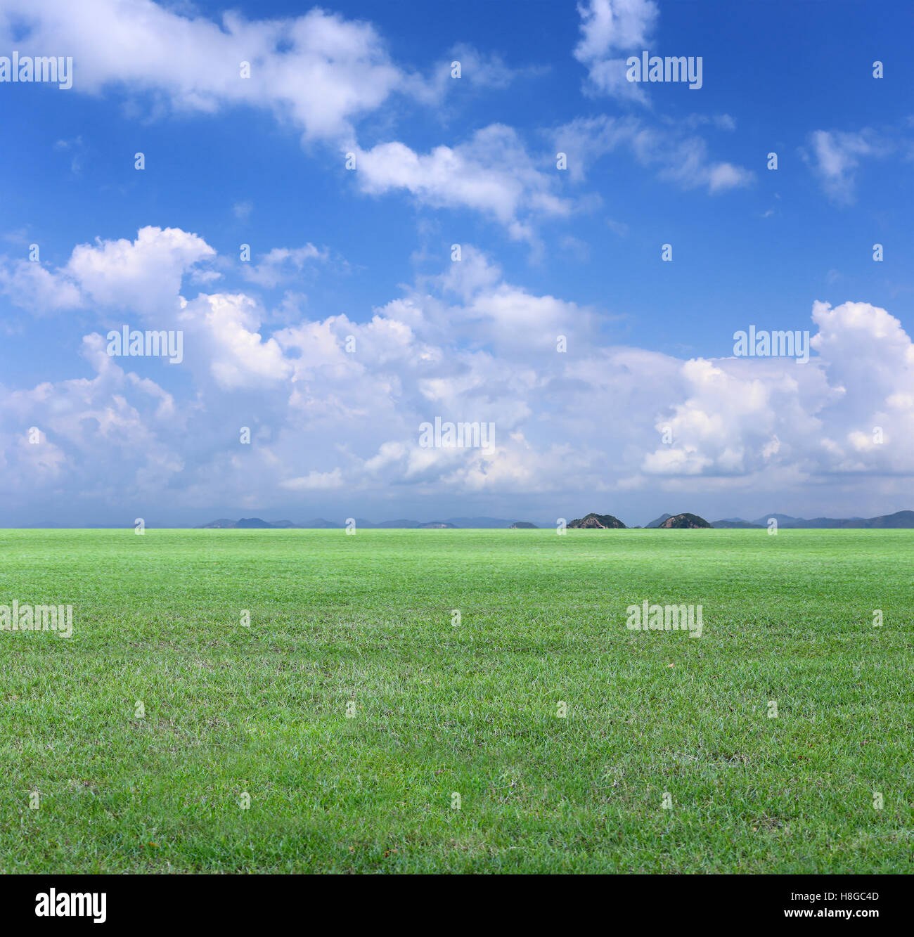 Campo verde e blu cielo vista,prato verde per la natura progettuale dello sfondo. Foto Stock