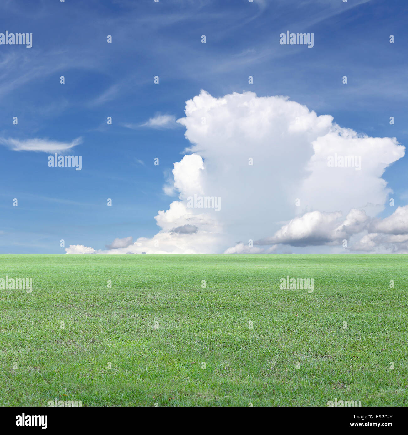 Campo verde e blu cielo vista,prato verde per la natura progettuale dello sfondo. Foto Stock
