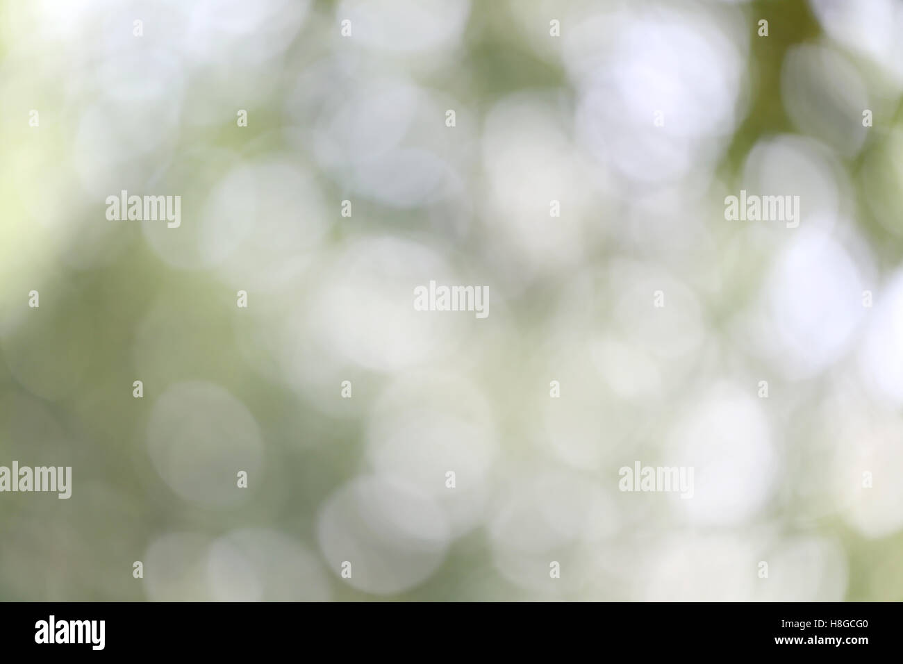 Natura astratta bokeh sfocare lo sfondo per il design pubblicità del vostro testo su sfondo in copia spazio. Foto Stock