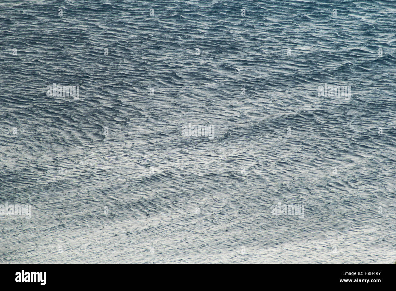 Windy acqua di mare texture di superficie Foto Stock