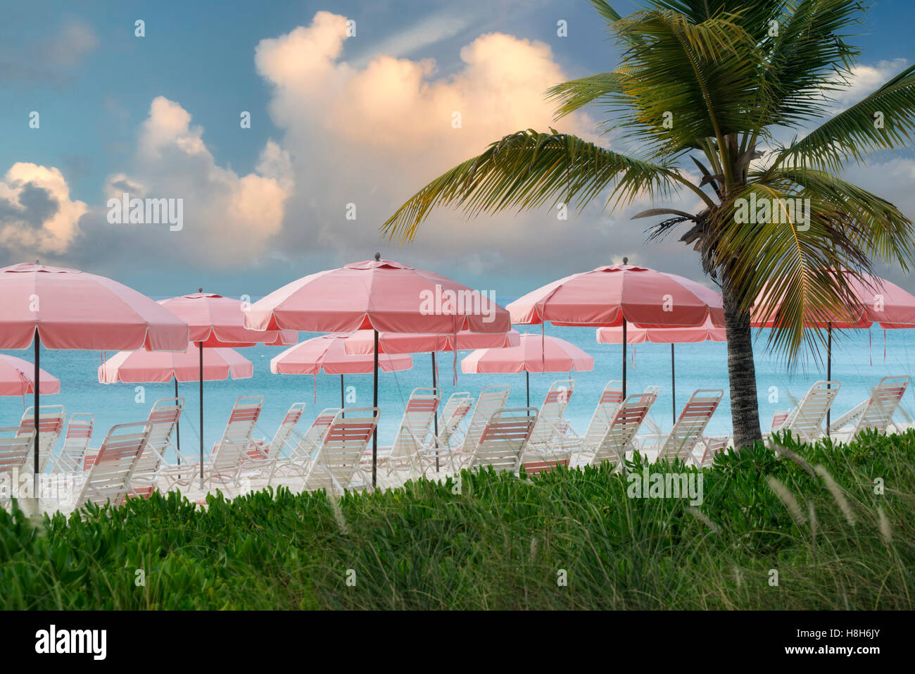 Spiaggia Rosa di ombrelloni e sedie a sdraio. Isole Turks e Caicos. Providenciales. Foto Stock