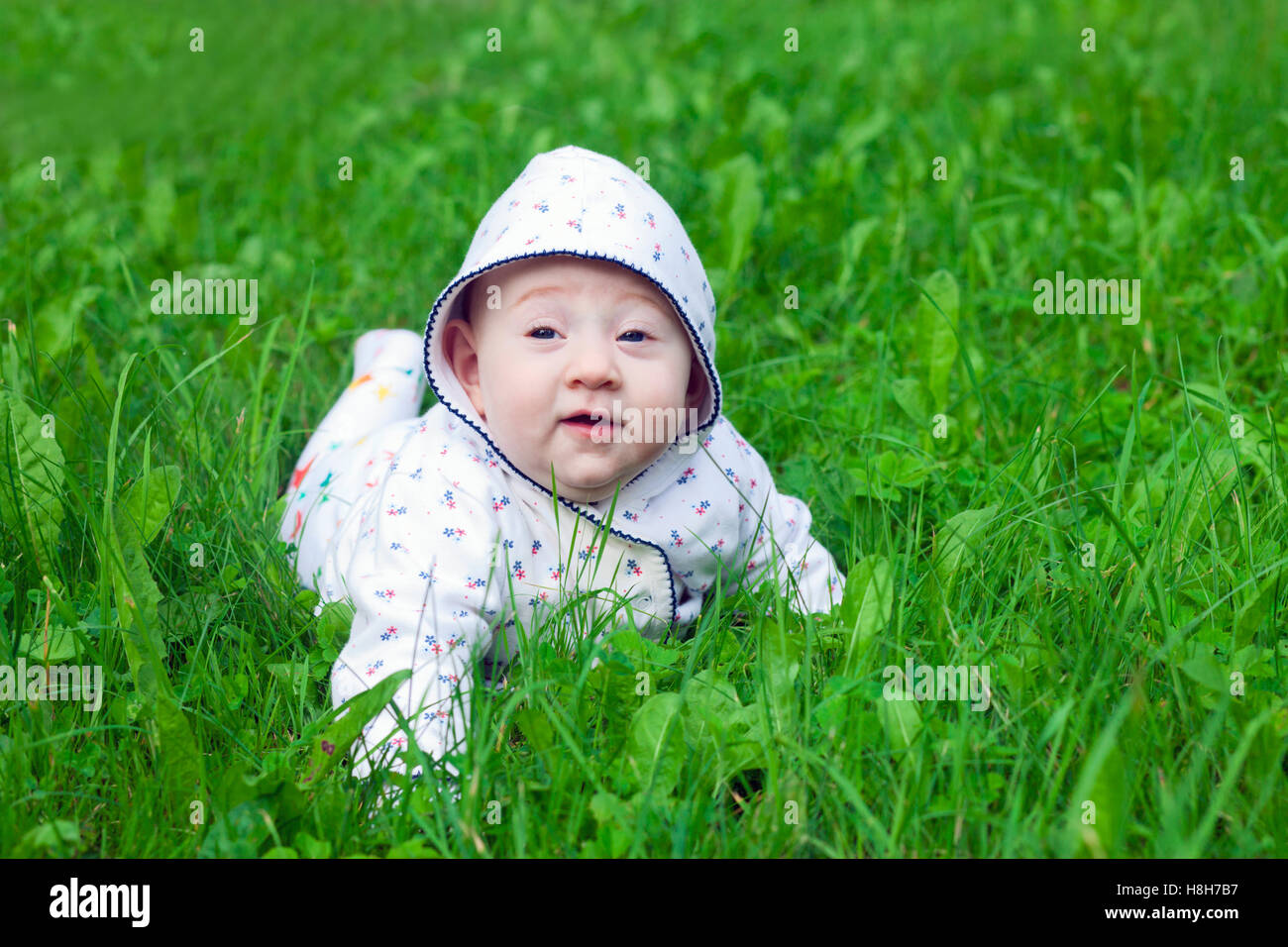 Carino il bambino gattona sul prato in profonda erba verde Foto Stock