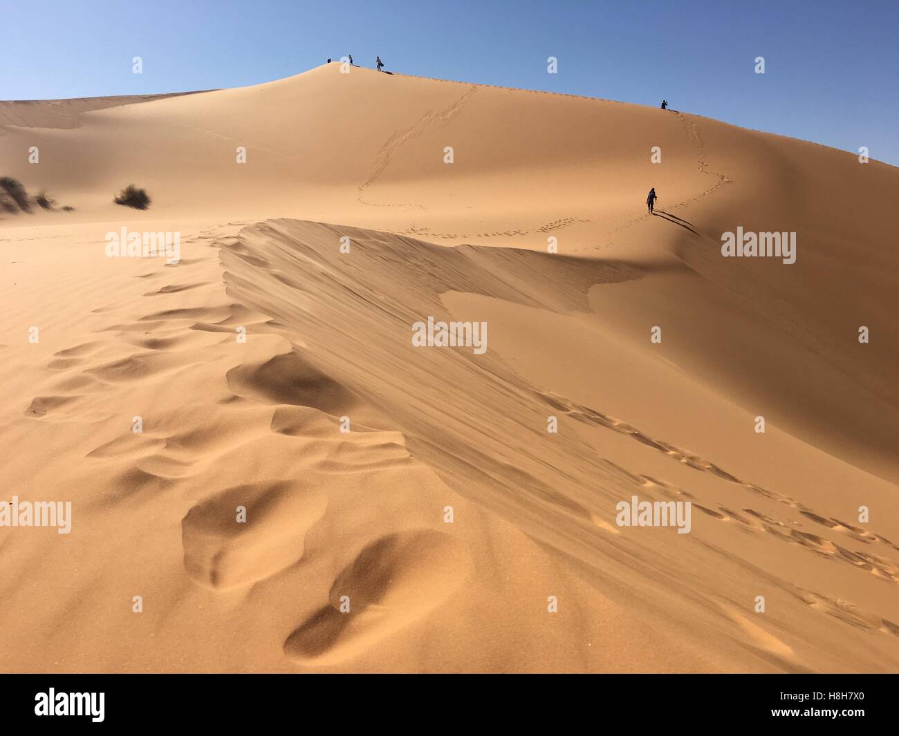 Numero illimitato di vuoto panorama del deserto del nord Africa Bechar Algeria, Sandy Taghit deserto Foto Stock