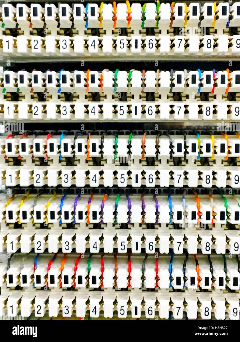 Telecom linea reglets uscita link striscia a vite Foto Stock