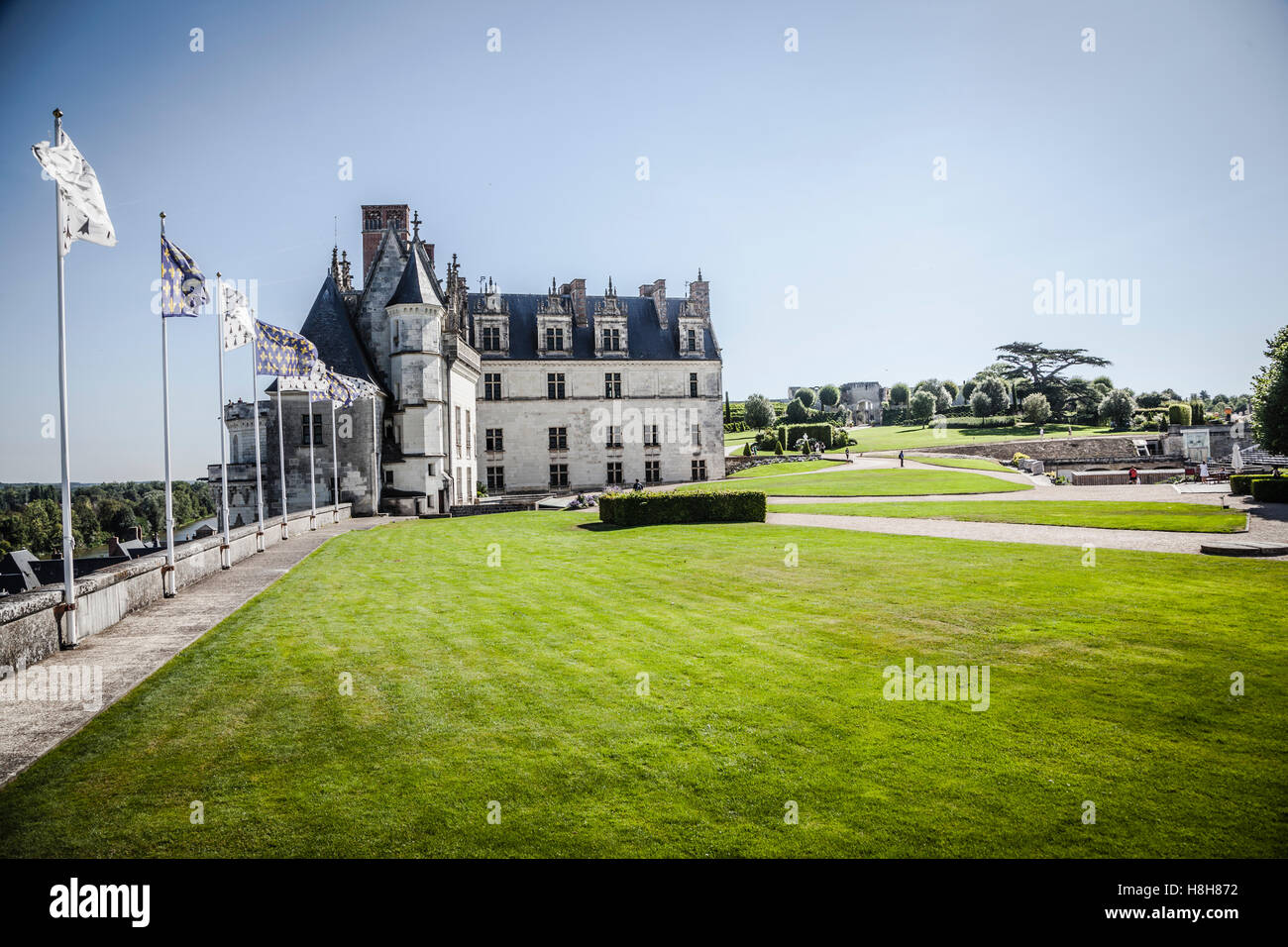 Veduta del Castello di Amboise sopra la cittadina nella valle della Loira Foto Stock