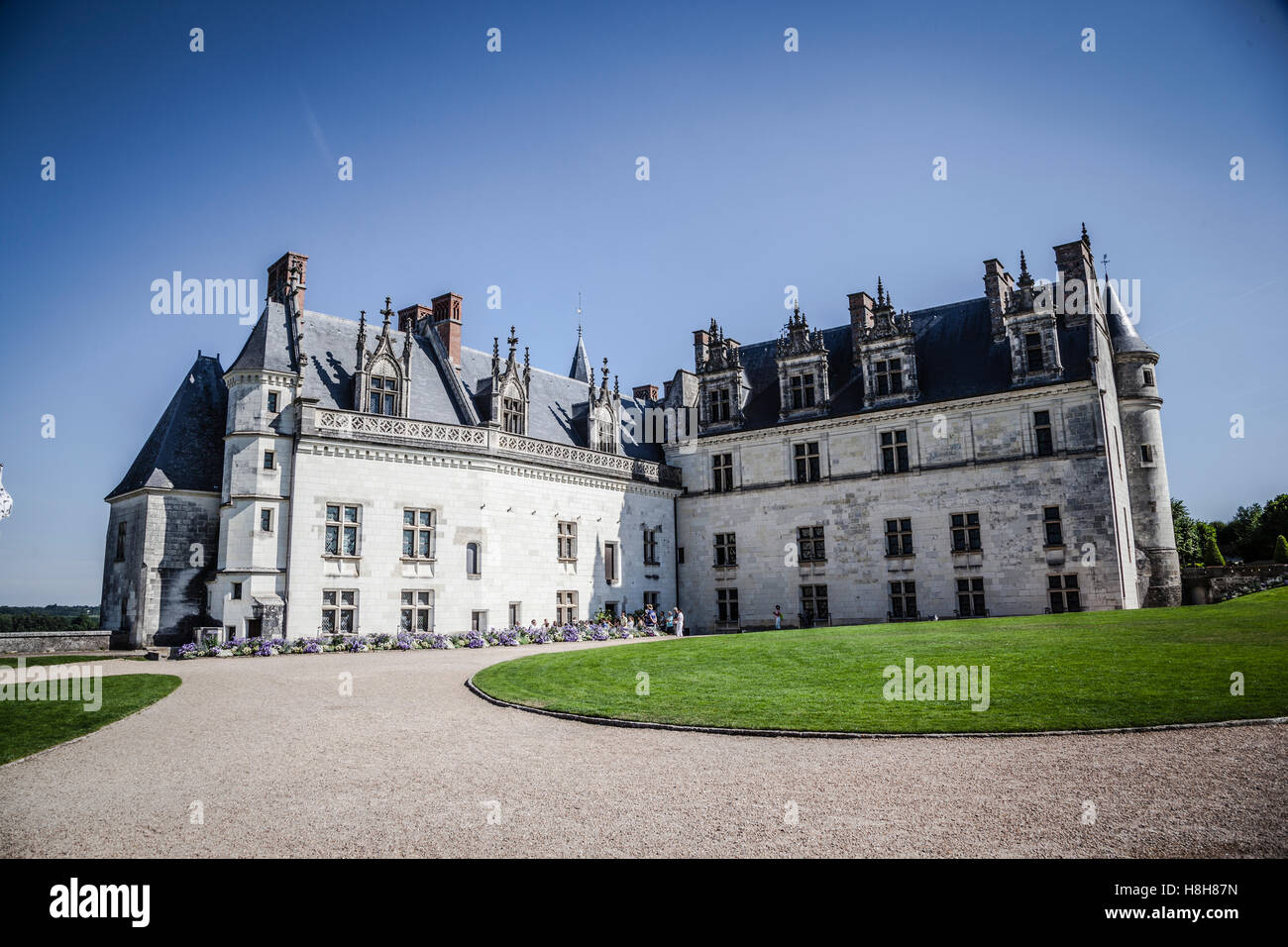 Veduta del Castello di Amboise sopra la cittadina nella valle della Loira Foto Stock
