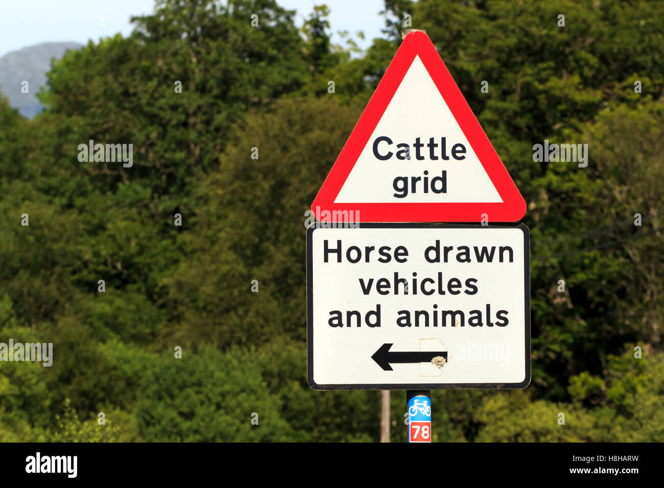 Cartello stradale di avvertimento del bestiame griglia, cavallo e veicoli e animali direzione Foto Stock