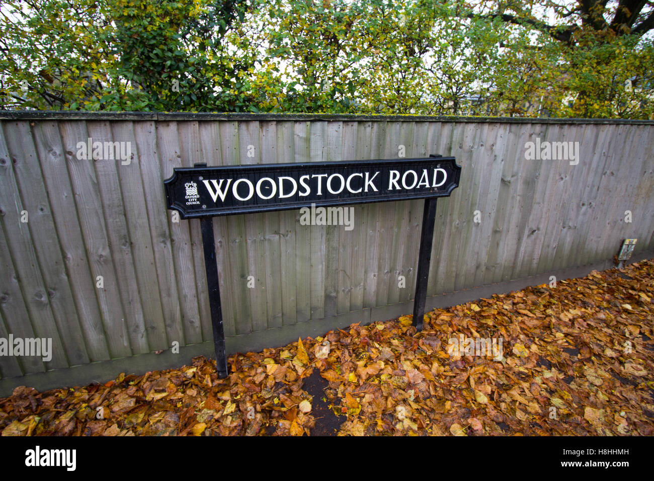 Woodstock strada segno circondato da foglie di autunno a Summertown, North Oxford, Oxfordshire, Regno Unito Foto Stock