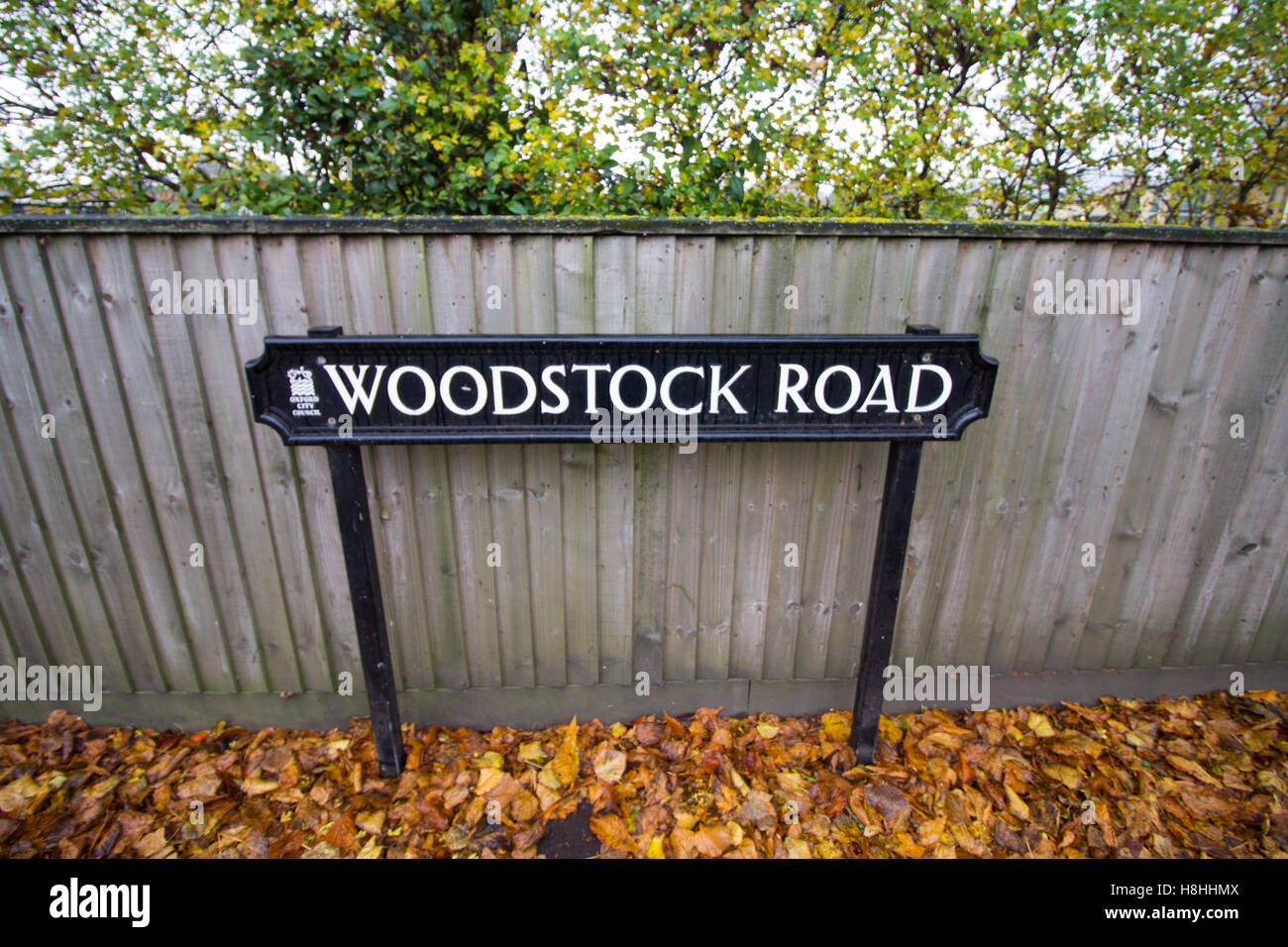 Woodstock strada segno circondato da foglie di autunno a Summertown, North Oxford, Oxfordshire, Regno Unito Foto Stock