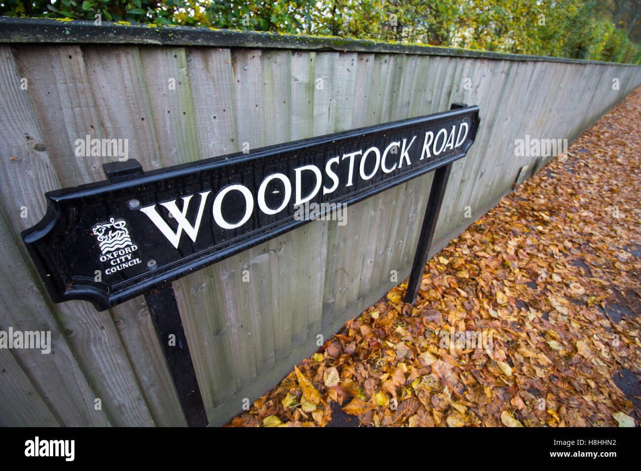 Woodstock strada segno circondato da foglie di autunno a Summertown, North Oxford, Oxfordshire, Regno Unito Foto Stock