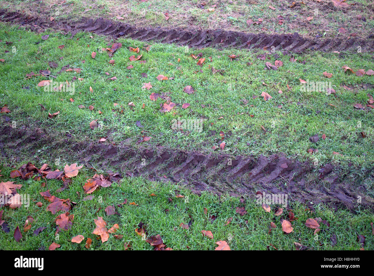 Il trattore byre tracce nel fango con erba verde Foto Stock