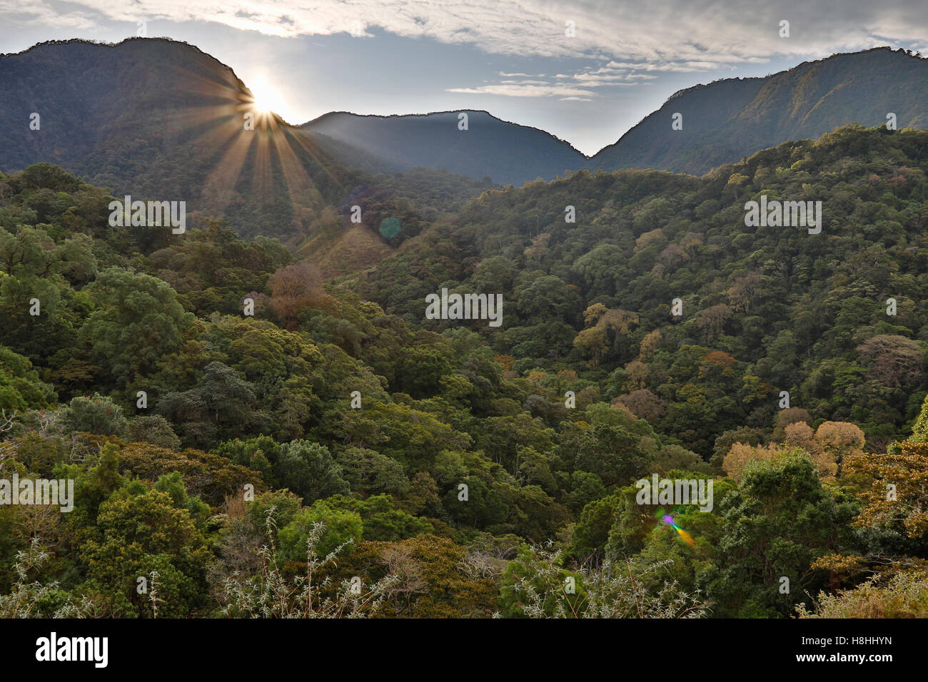 Montare TOTUMAS Cloud Forest Riserve di sunrise, Panama Foto Stock